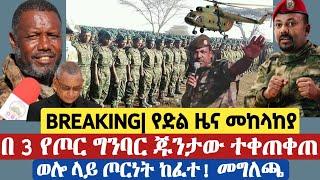 የአሁን 4 ሰበር ዜናዎች! Ethiopian news | wollo media today, 3 August 2021